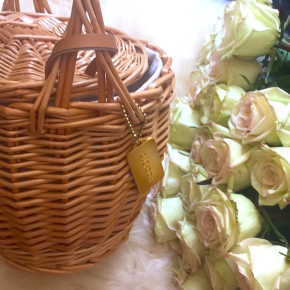 Jane ❤️🇫🇷❤️ Birkin Basket .. summmmer - Picture 4 of 4